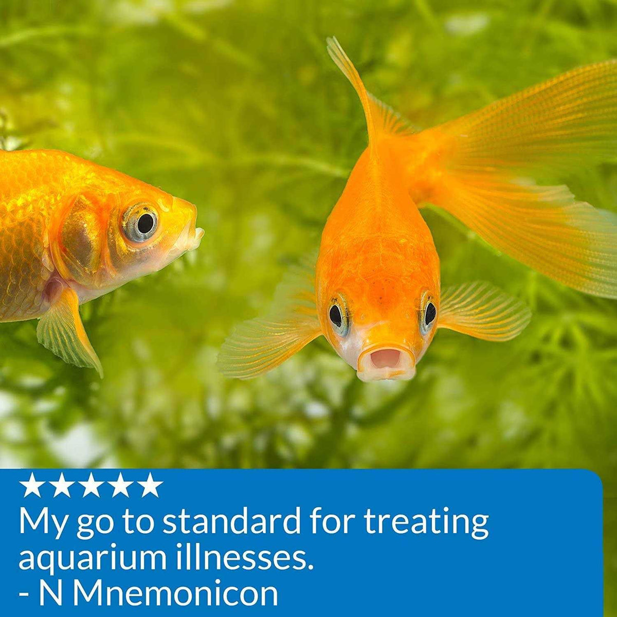 Antifungal Fish Remedy O511