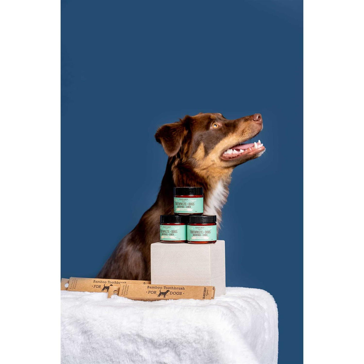 Dog Peppermint Toothpaste N350
