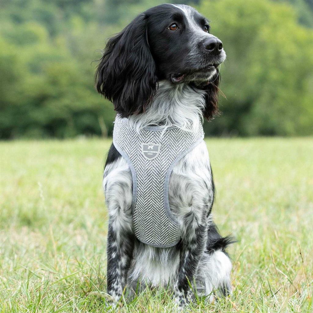 Tweed Dog Harness Vest Z897004
