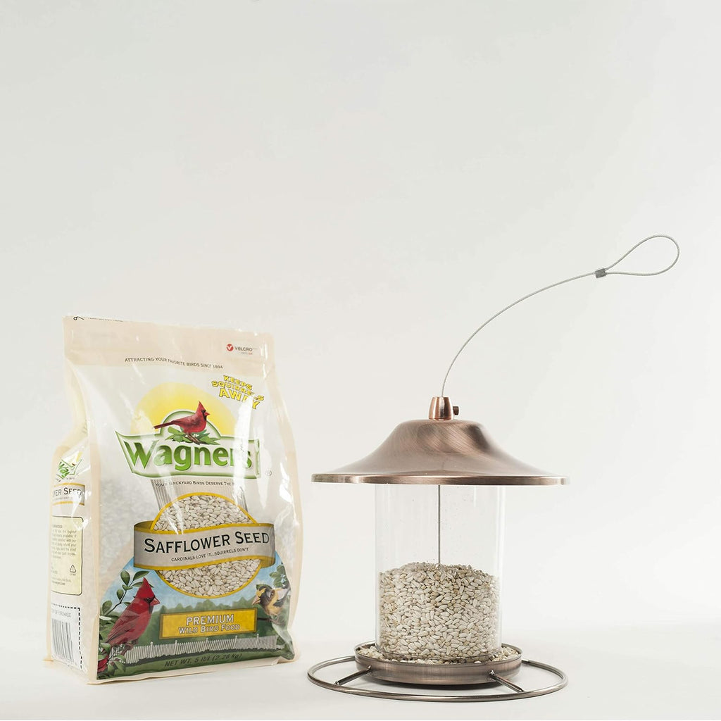 5-Pound Bag Safflower Seed Wild Bird Food D539105