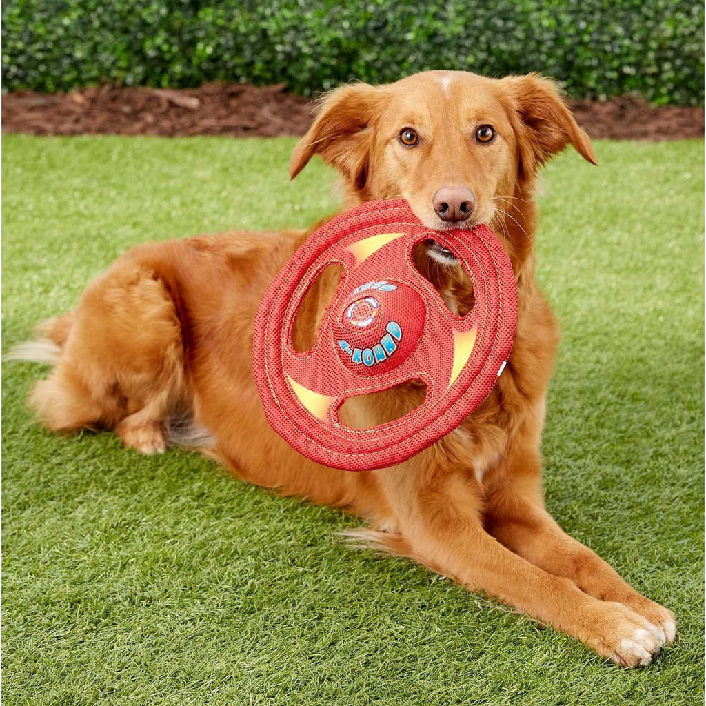 Dog Toy X392