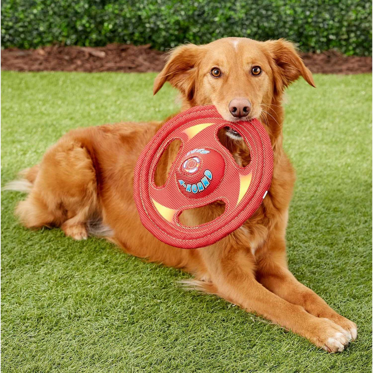 Dog Toy X392