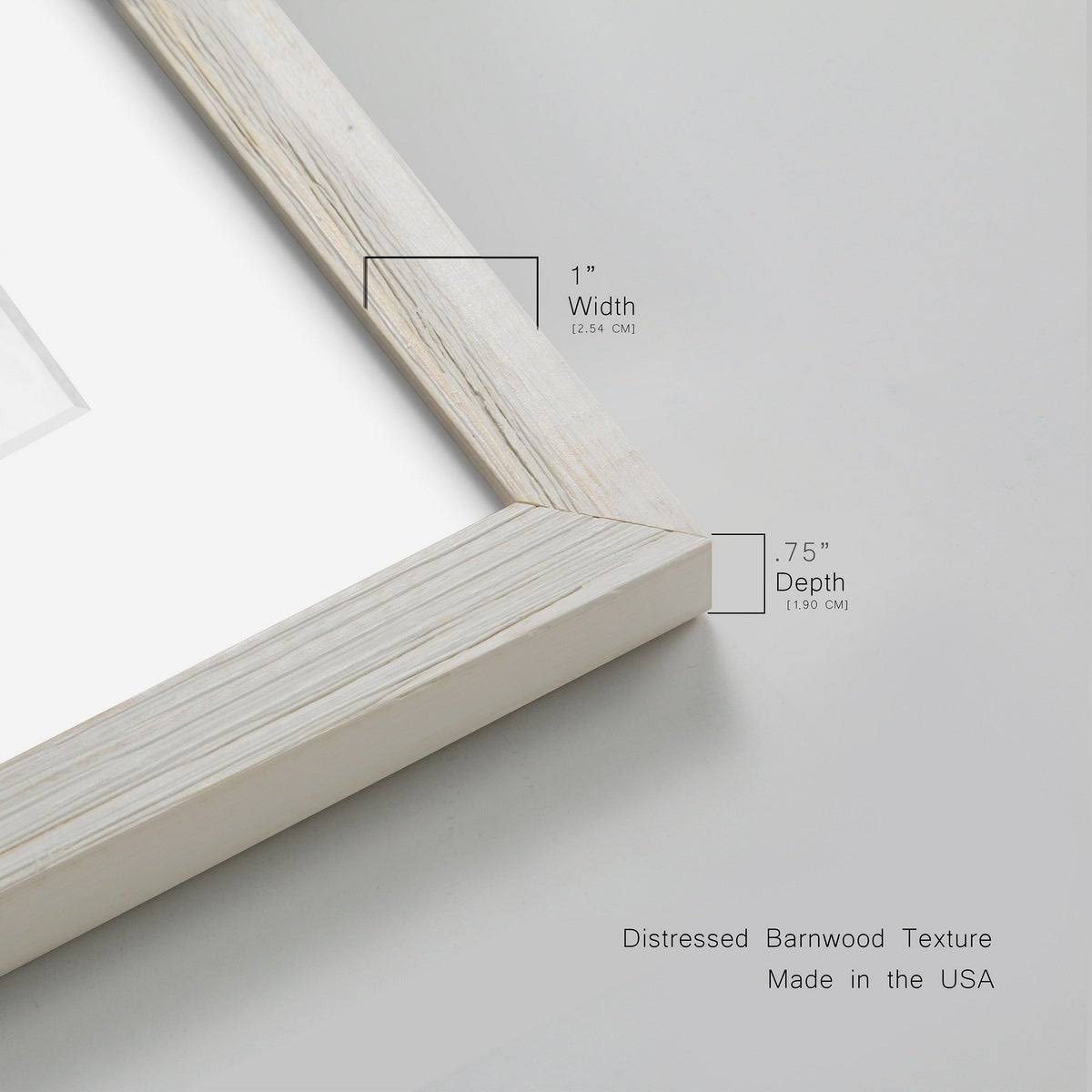 Maple Framed Print X38554