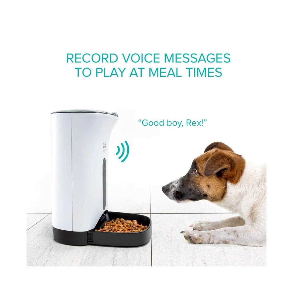 Automatic Pet Feeder Food Dispenser A422