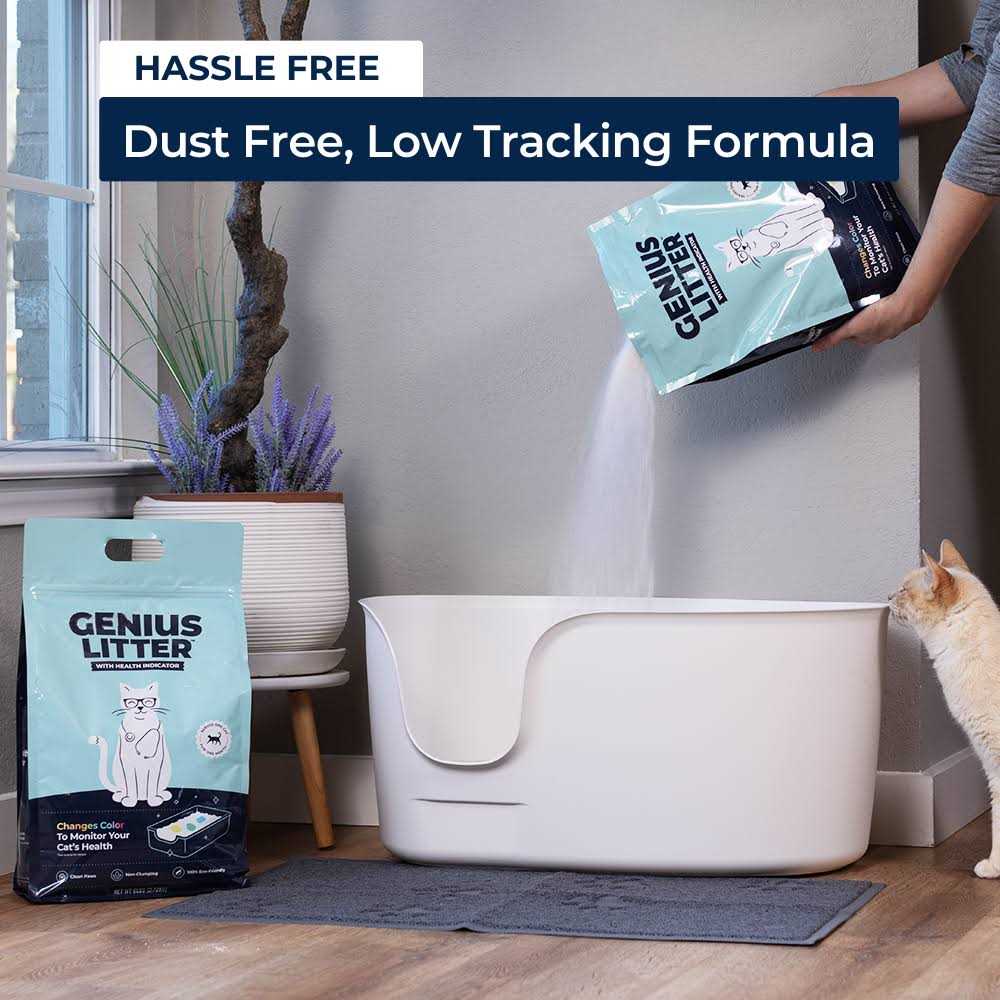 Cat Litter D856737