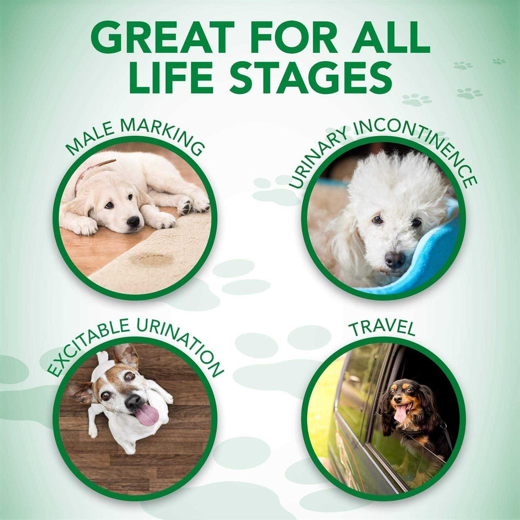 Disposable Male Dog Wraps O7832