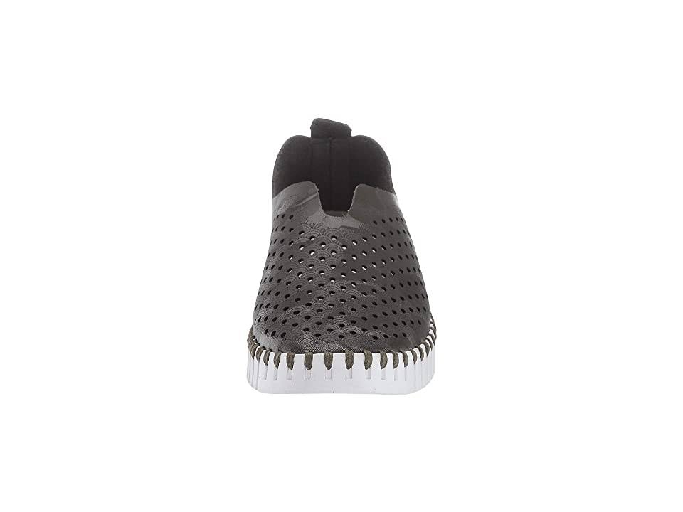 Army Tulip 39 A3355