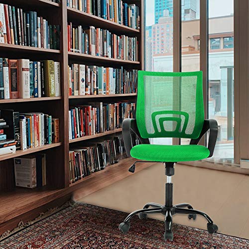 Black Mesh Ergonomic Office Chair with Lumbar Support U456