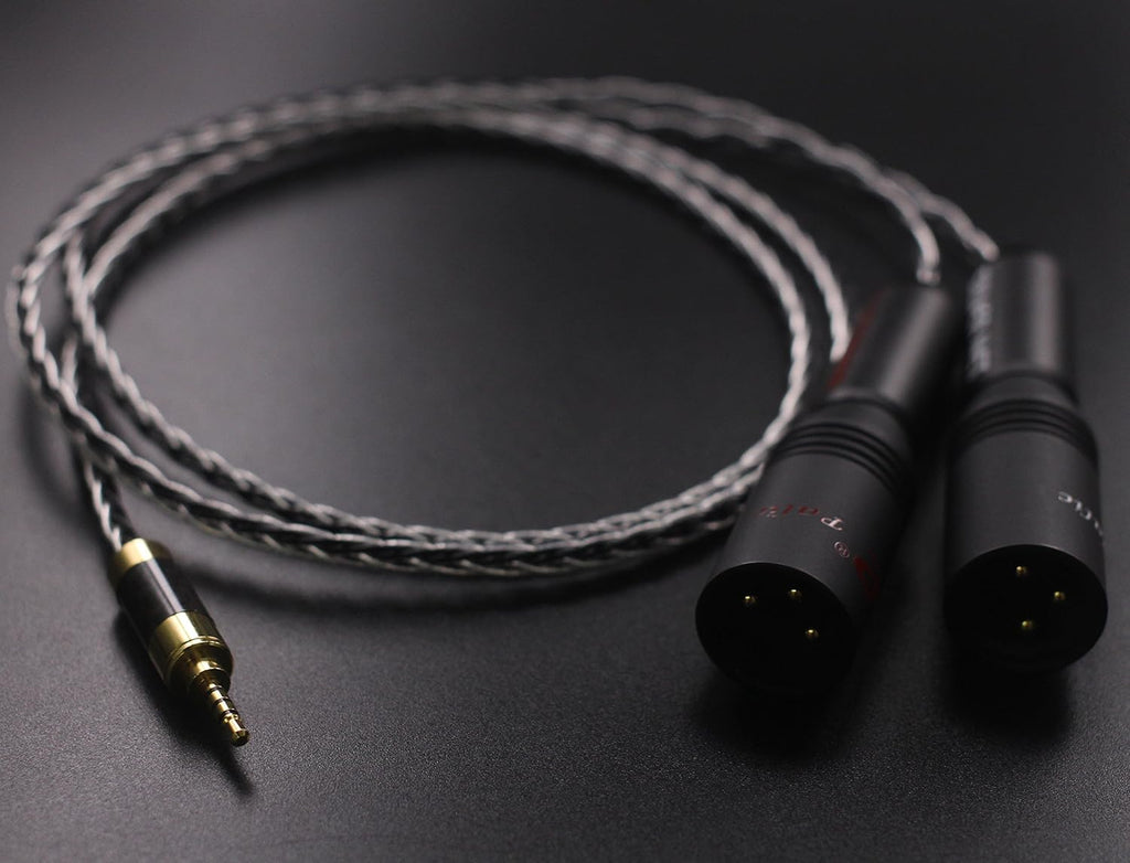 2.5mm TRRS Balanced Male to 2 XLR Male Cable 3.2ft C407