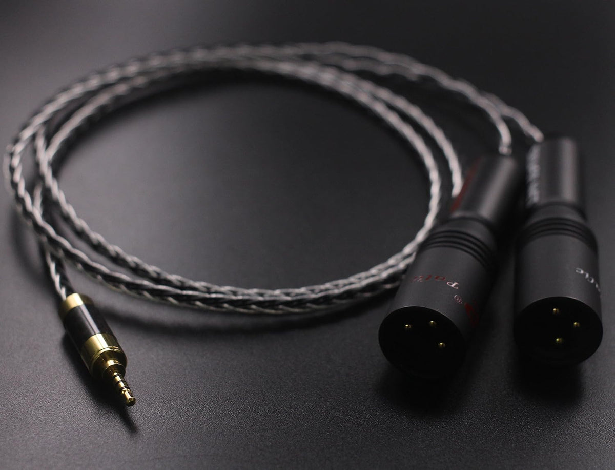 2.5mm TRRS Balanced Male to 2 XLR Male Cable 3.2ft C407