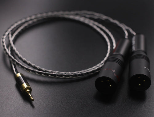 2.5mm TRRS Balanced Male to 2 XLR Male Cable 3.2ft C407