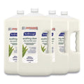 1 gal Softsoap Liquid Hand Soap Refill with Aloe Vera W9103