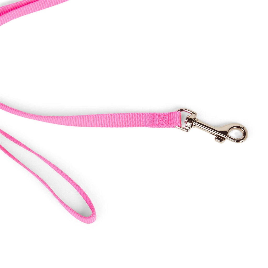Dog Lead R12048