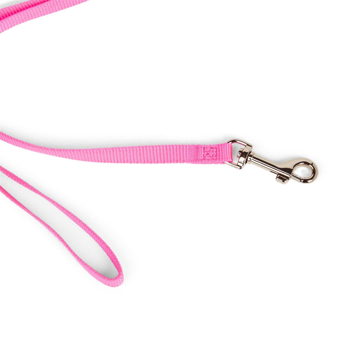 Dog Lead R12048