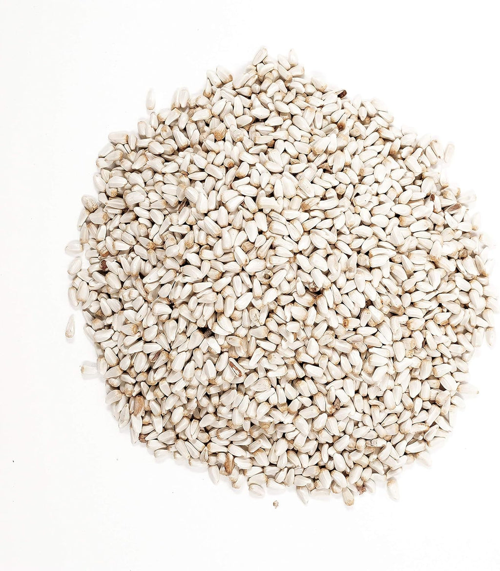 5-Pound Bag Safflower Seed Wild Bird Food D539105
