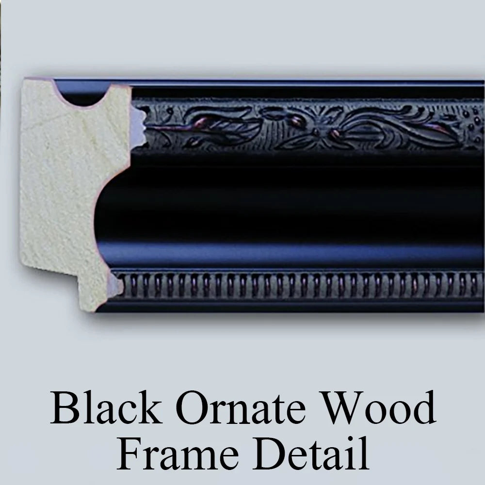 Black Ornate Wood Framed Double Matted Museum Art Print T5163
