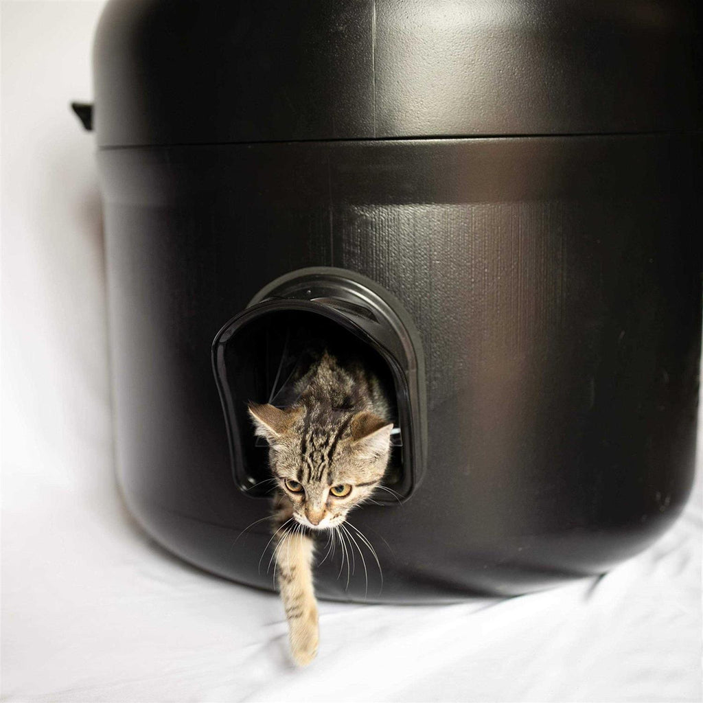 Insulated Outdoor Cat House with Pillow V9208