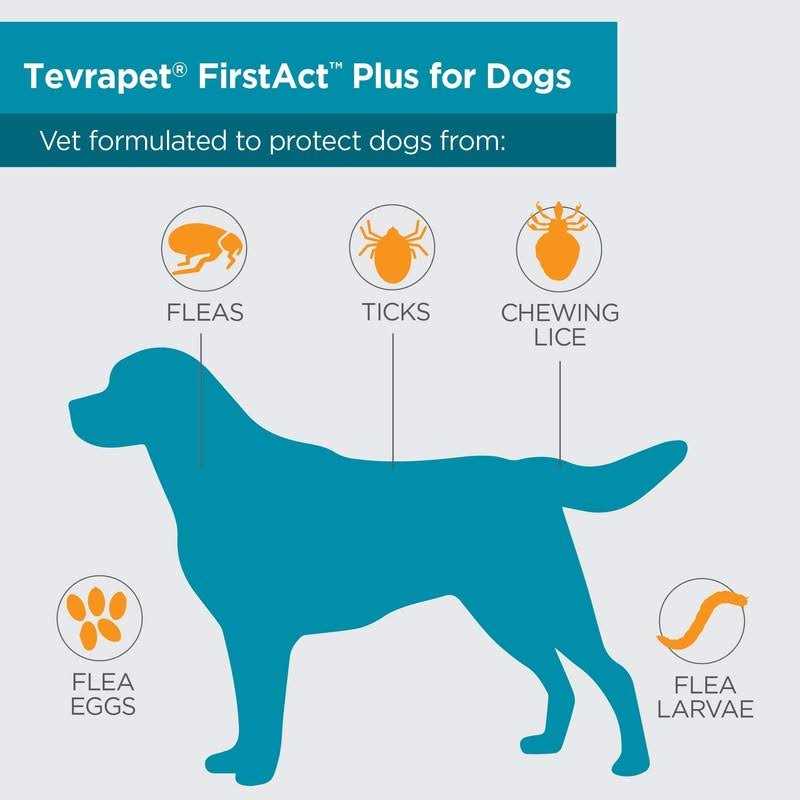 Flea and Tick Prevention Dogs J592