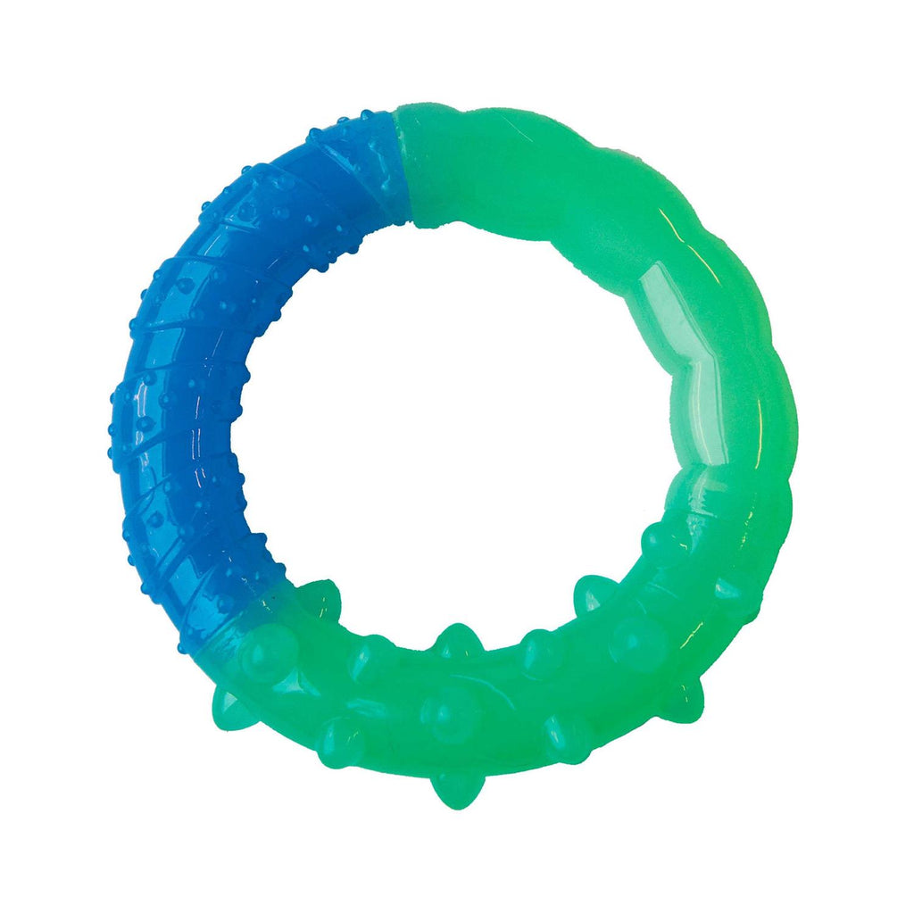 Ring Dog Toy Z92996