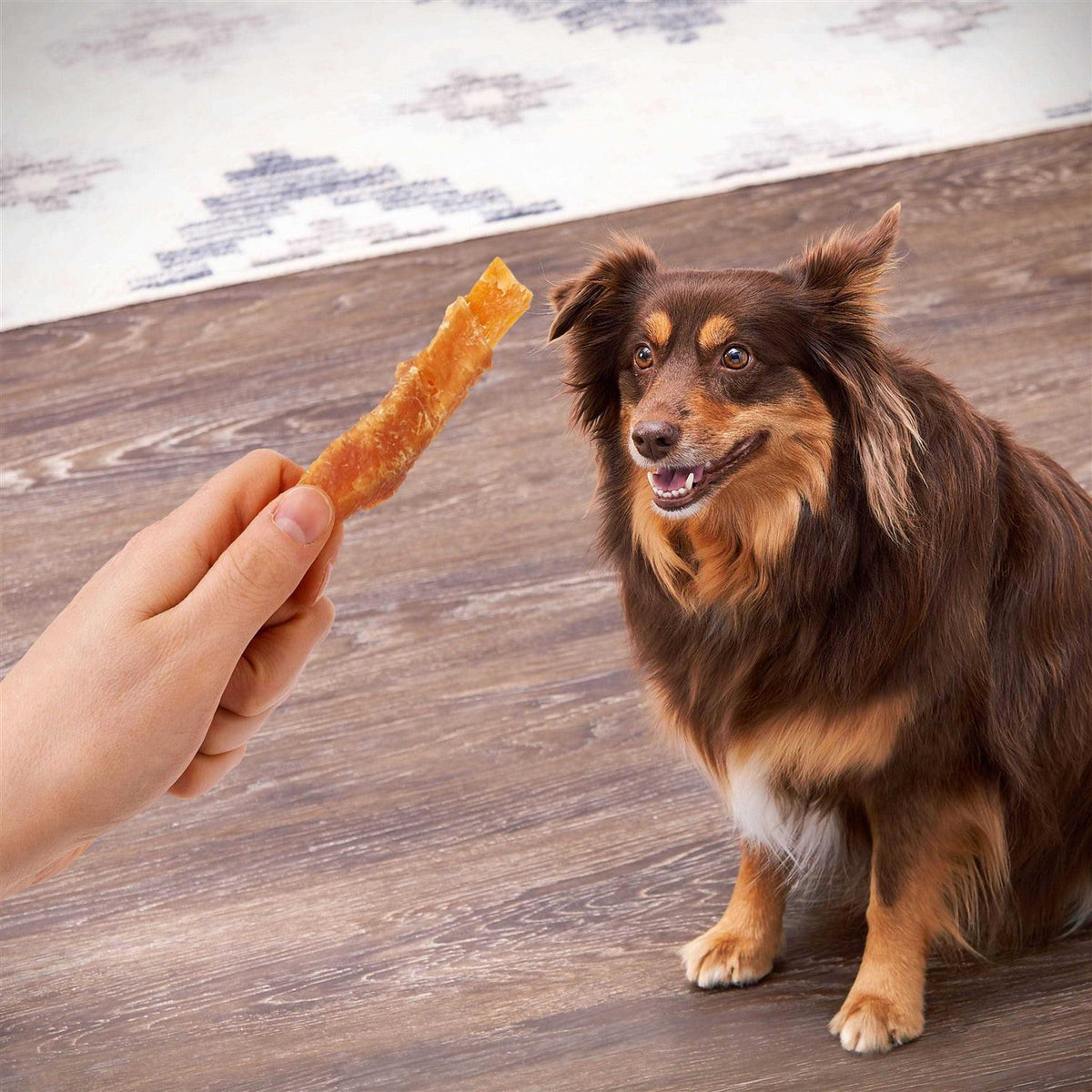 Sweet Potato Wrapped with Chicken Dog Treats K197
