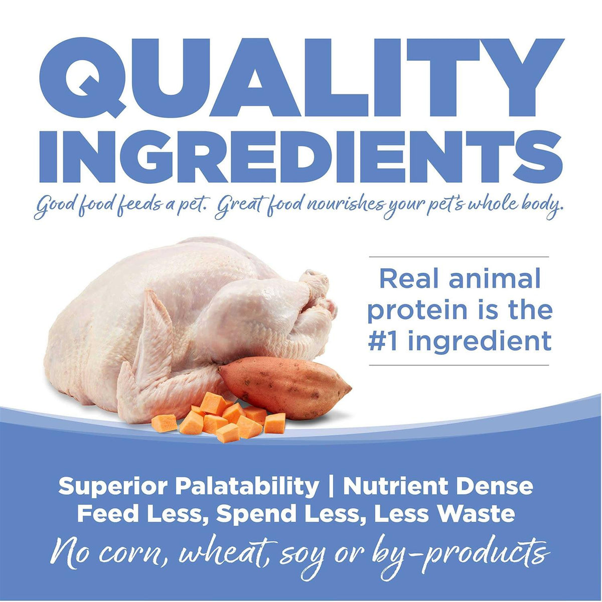 Grain-Free Turkey & Sweet Potato Dry Dog Food B592