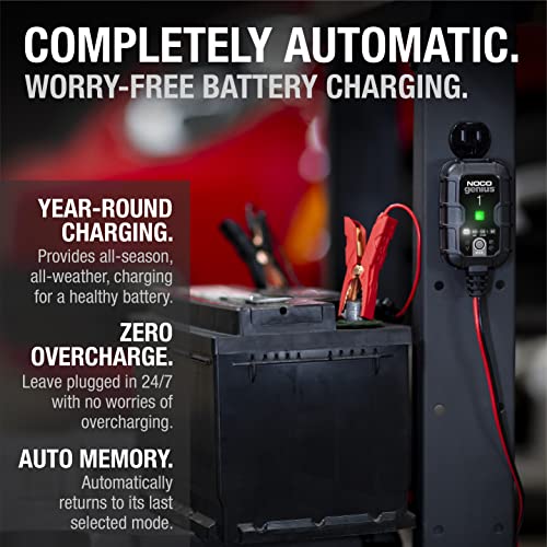 1A 6V/12V Smart Battery Charger B21152
