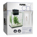 Aquarium G52485