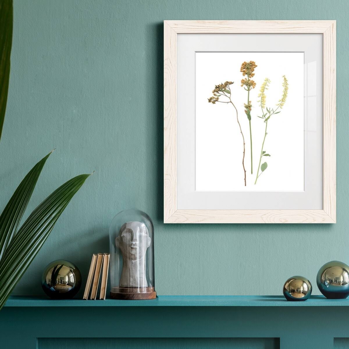 Maple Framed Print X38554