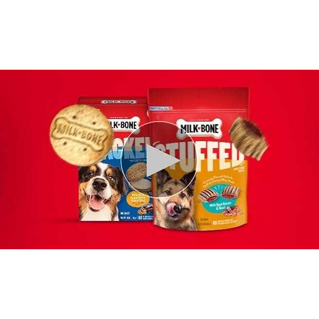 Dog Treats V25739