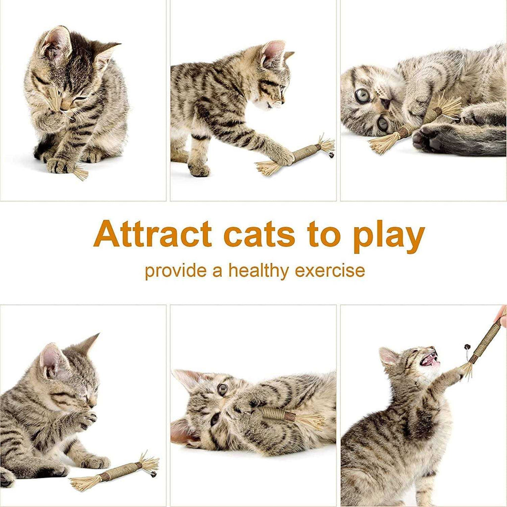 Catnip Silvervine Chew Toy R525