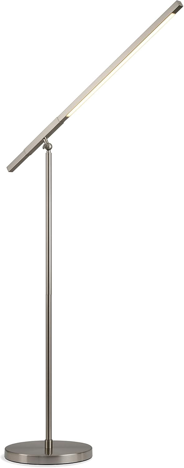 Modern LED Floor Lamp, 41-Inch High, Clear Oak J1825