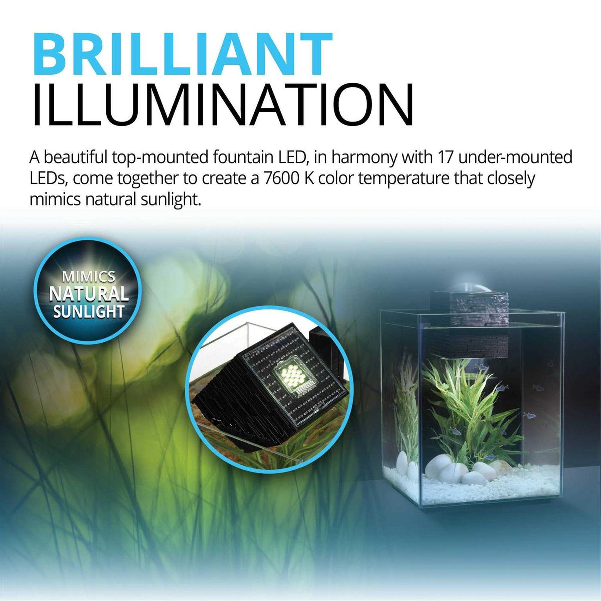 Aquarium G52485
