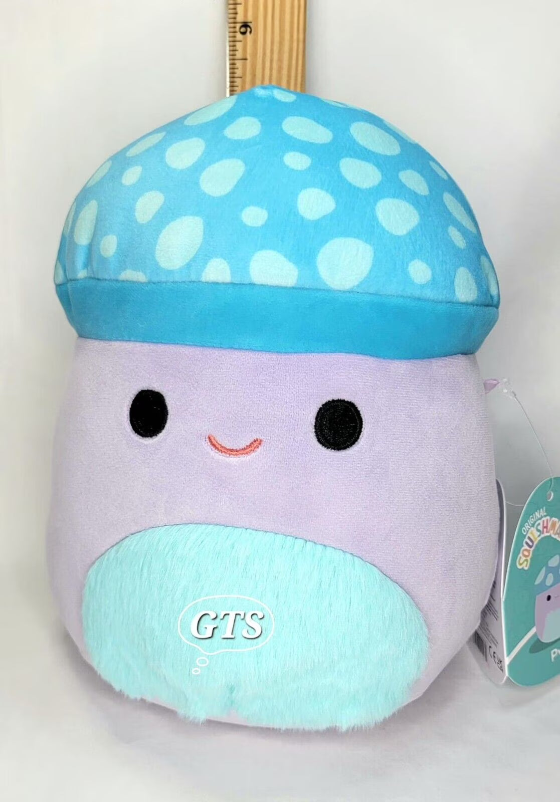 Lavender Teal Mushroom Plush R16770