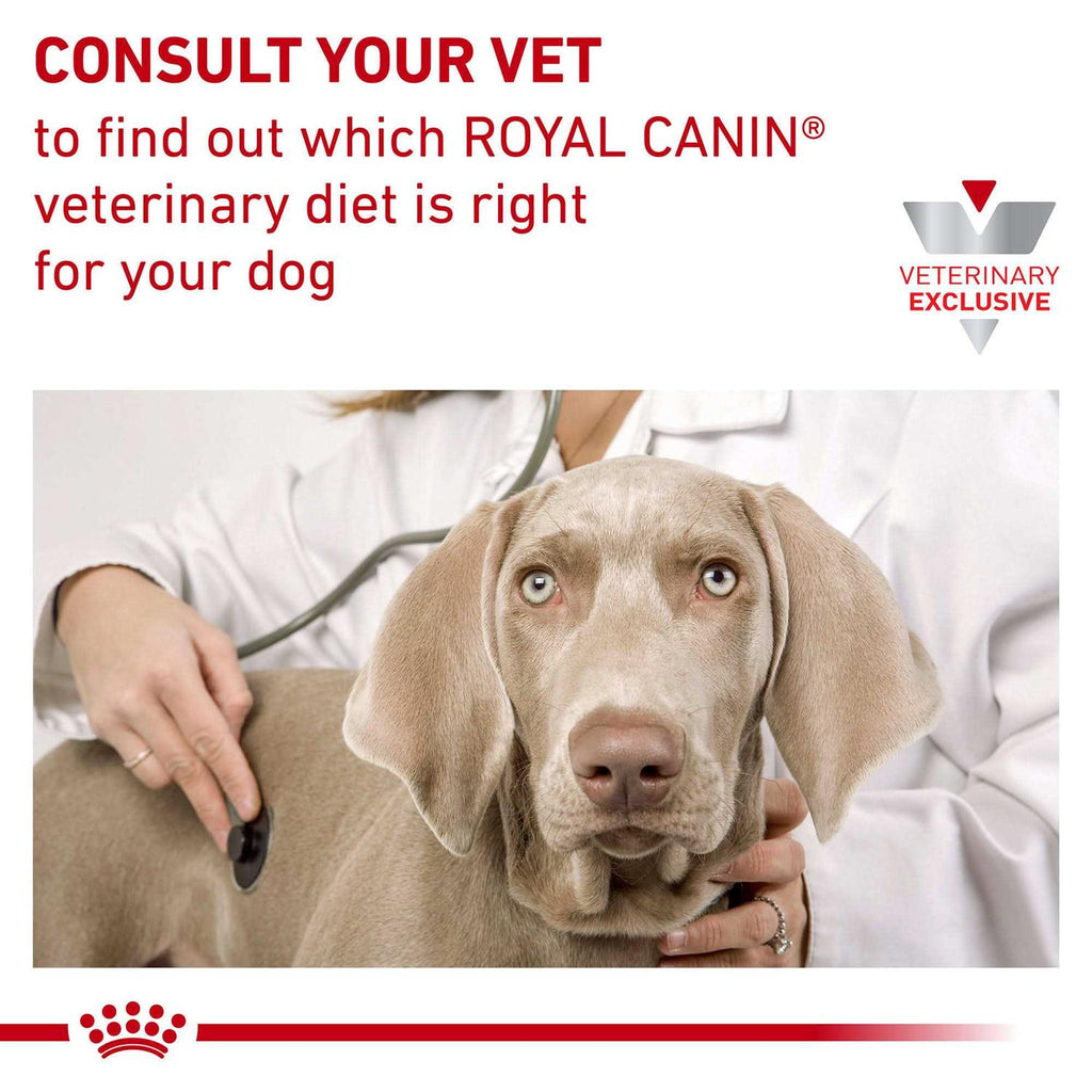 Veterinary Diet Canine Hydrolyzed Protein Adult PS Dry Dog Food D329406