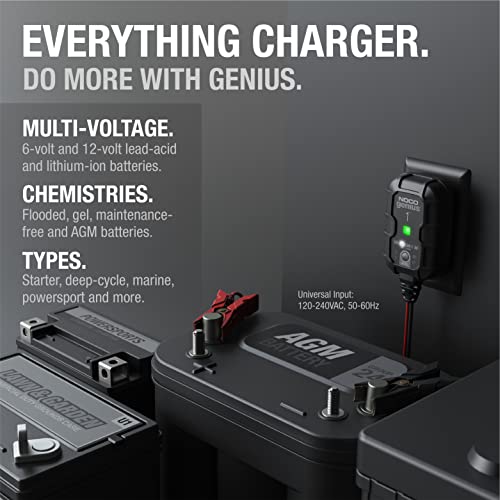 1A 6V/12V Smart Battery Charger B21152