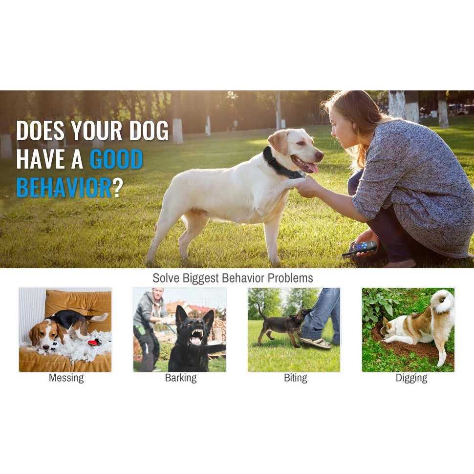 Rechargeable Dog Training Collar with Remote A119