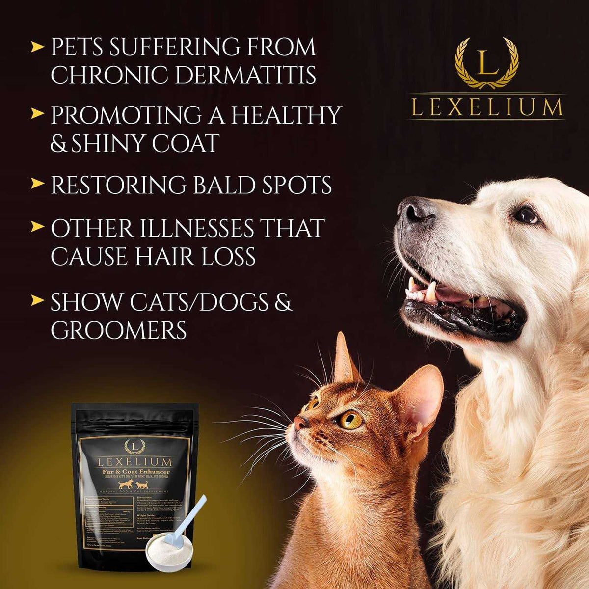 Dermatitis Skin and Coat Supplement for Dogs and Cats V456
