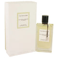 California Reverie T280470