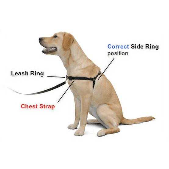 No Pull Dog Harness D3708