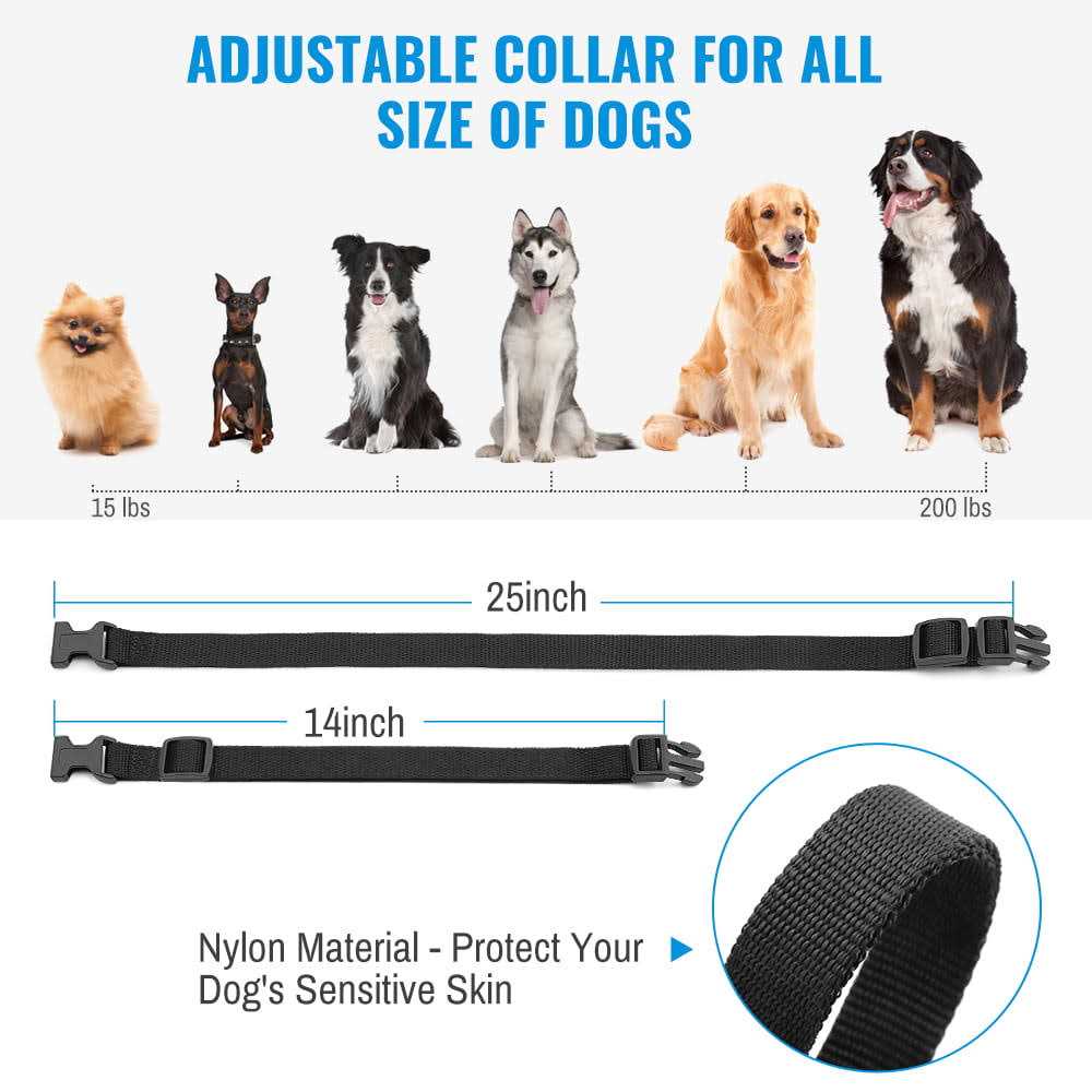 Rechargeable Dog Training Collar with Remote A119