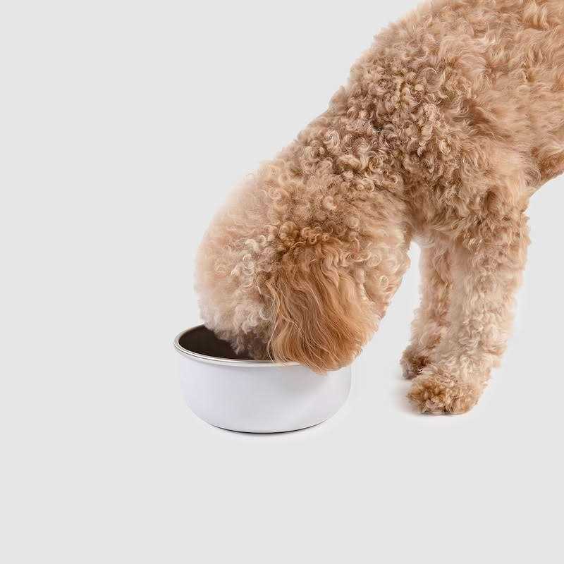 Pet Supplies Bowl Crate Clip N93247