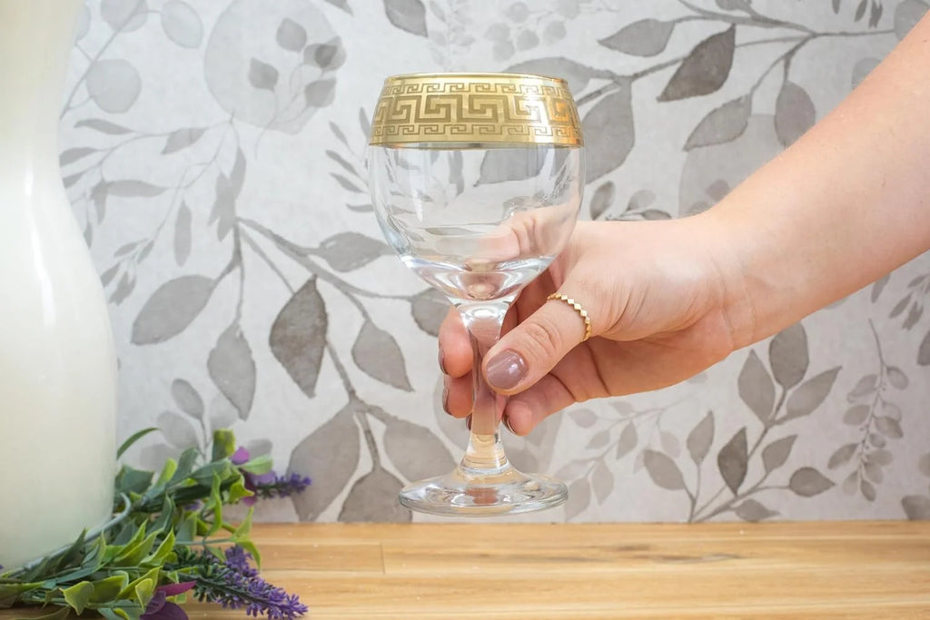Wine Goblet Glasses 6 Pieces N194