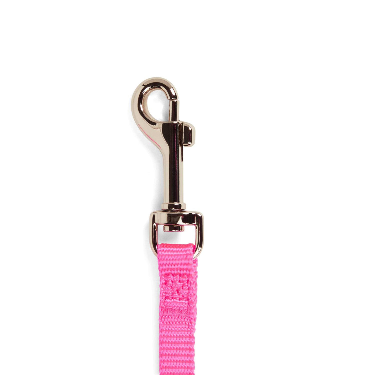 Dog Lead R12048