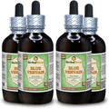 Blue Vervain Organic Dried Above-Ground Parts Alcohol-Free Liquid Extract M7295