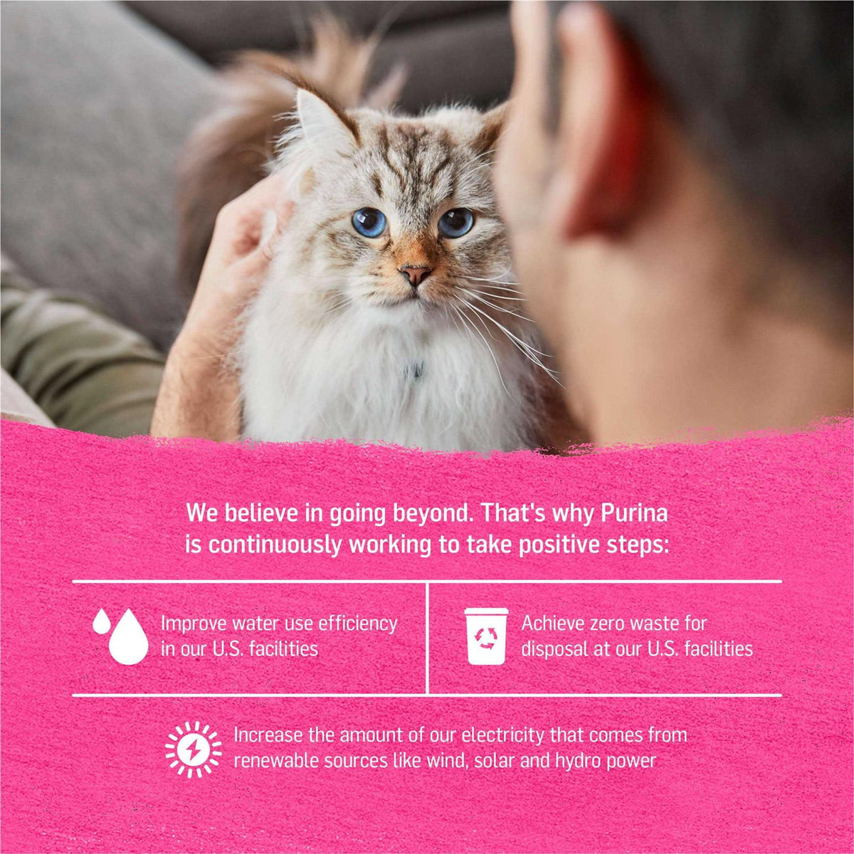 Grain-Free Wet Cat Food Q7753