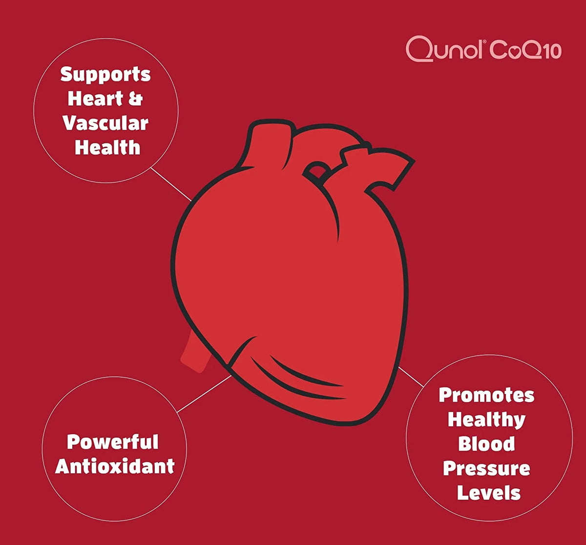 120 Ct CoQ10 Softgels C8525