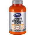 Amino-9 Essentials Powder 330g I3350