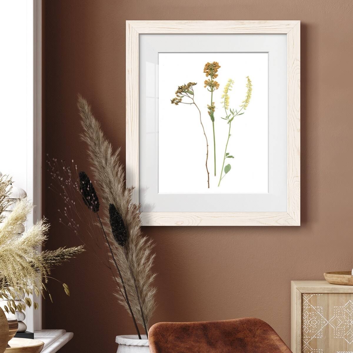 Maple Framed Print X38554