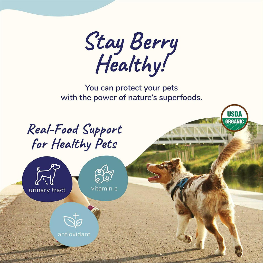 Healthy Immunity for Dogs and Cats M2687