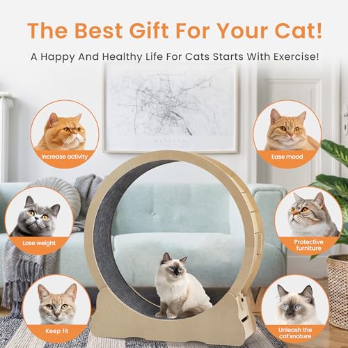 Large Wooden Cat Exercise Wheel, 43.3" L x 13.2" W x 45.9" H I647